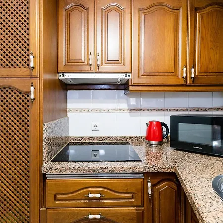 Apartment La Albaizinia